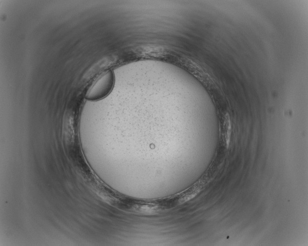 X0000080710506200701051013