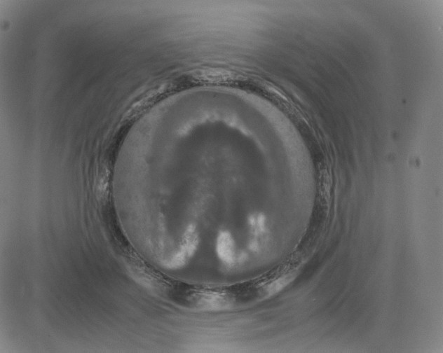 X0000080710507200701051013