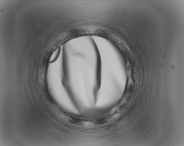 X0000080710509200701051013