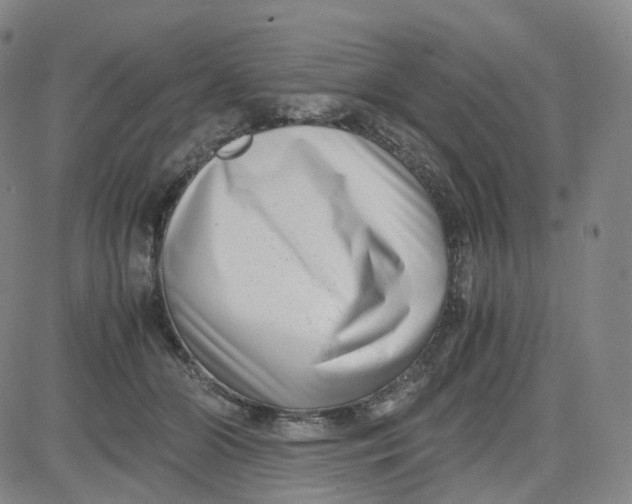 X0000080710510200701051013