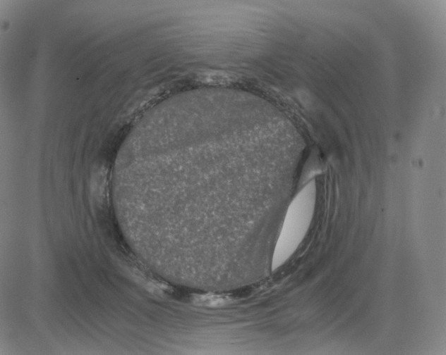 X0000080710511200701051013