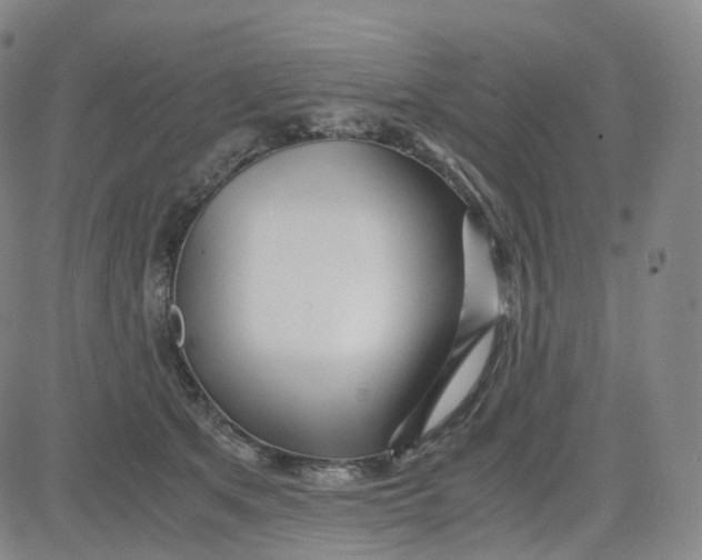 X0000080710513200701051013