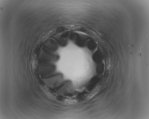 X0000080710515200701051013