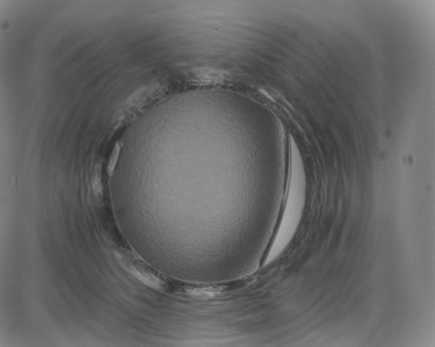 X0000080710516200701051012