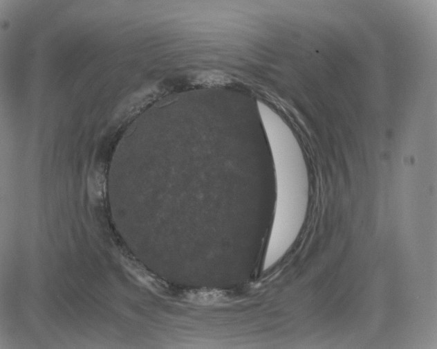 X0000080710517200701051012