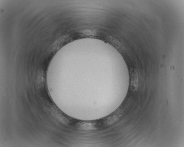 X0000080710518200701051012