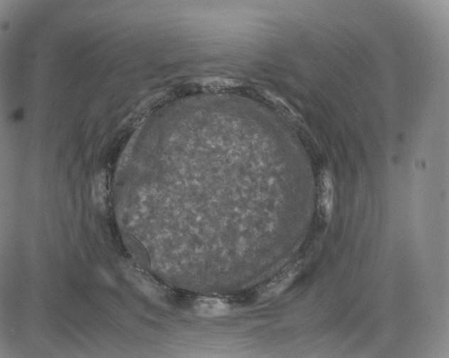 X0000080710519200701051012