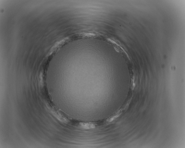 X0000080710520200701051012