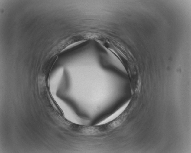 X0000080710521200701051012