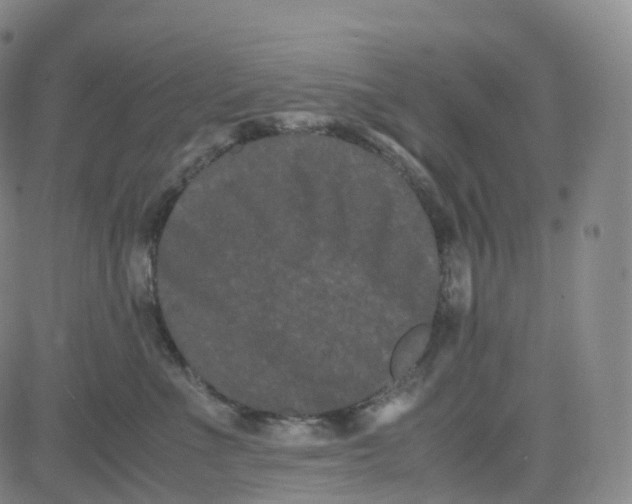 X0000080710523200701051012