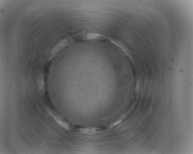 X0000080710524200701051012