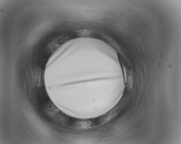 X0000080710525200701051012