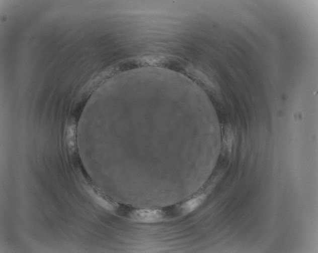 X0000080710526200701051012