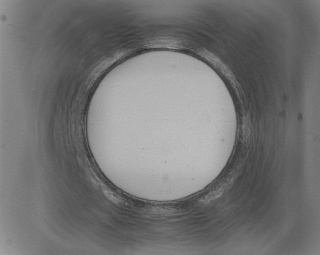 X0000080710529200701051012