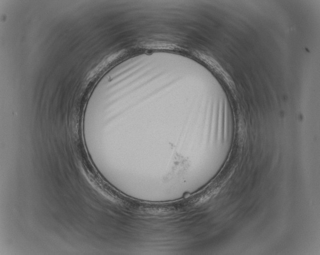 X0000080710533200701051012