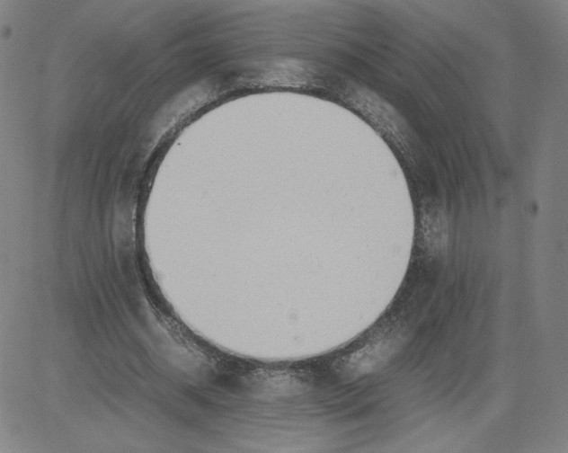 X0000080710534200701051012