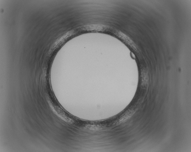 X0000080710538200701051012