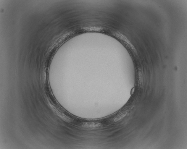 X0000080710541200701051012