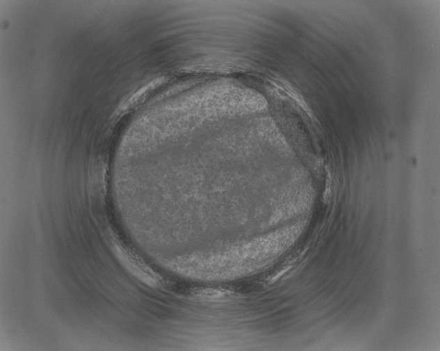 X0000080710542200701051012