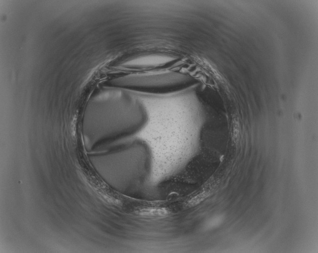 X0000080710543200701051012