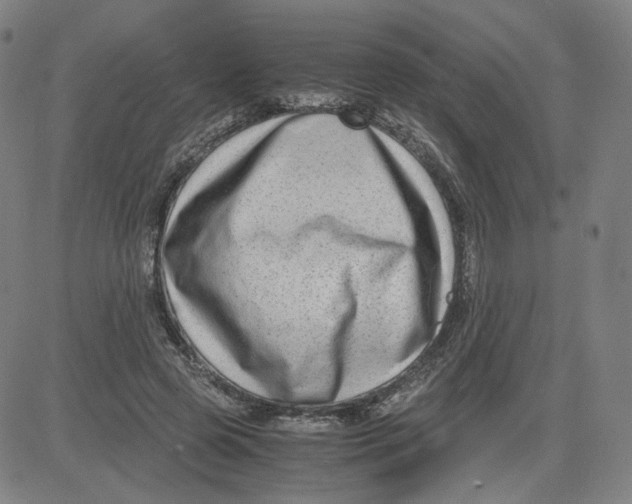 X0000080710545200701051012