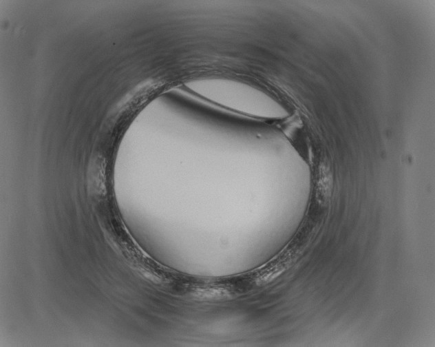 X0000080710547200701051012