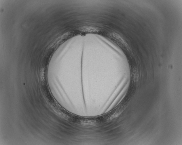 X0000080710549200701051012