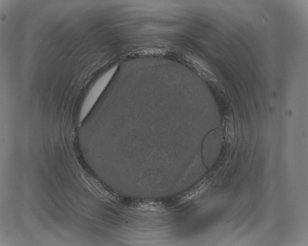 X0000080710550200701051012