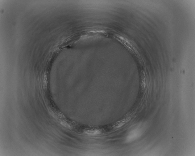 X0000080710551200701051012