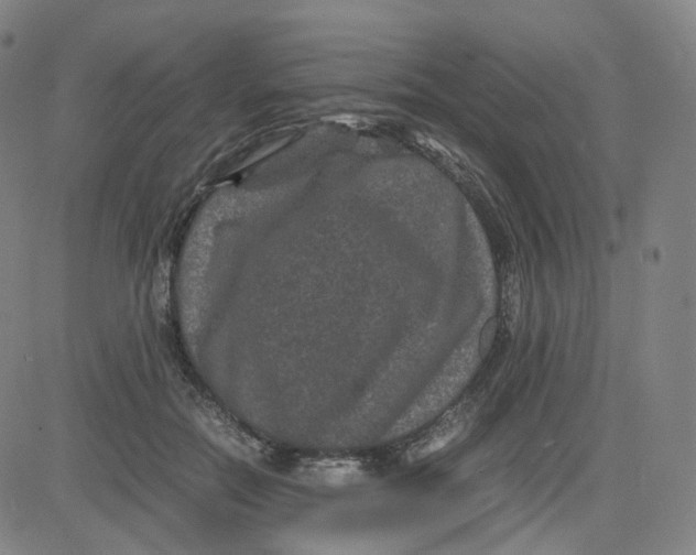 X0000080710554200701051012