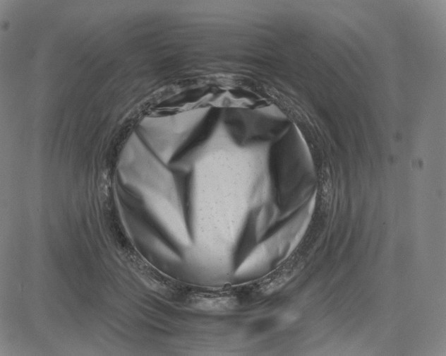 X0000080710555200701051012