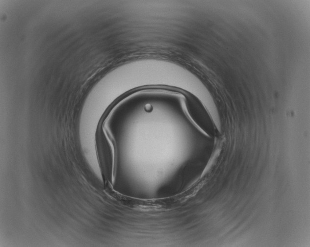 X0000080710556200701051012