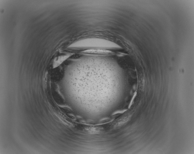 X0000080710558200701051012