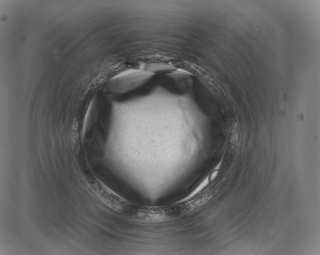 X0000080710559200701051012