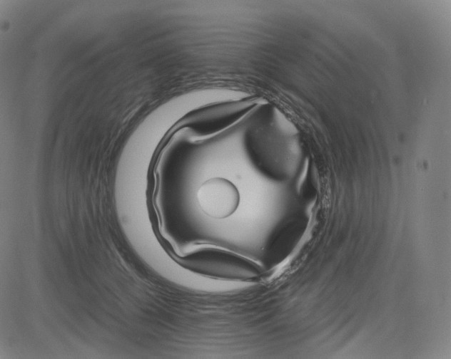 X0000080710560200701051012