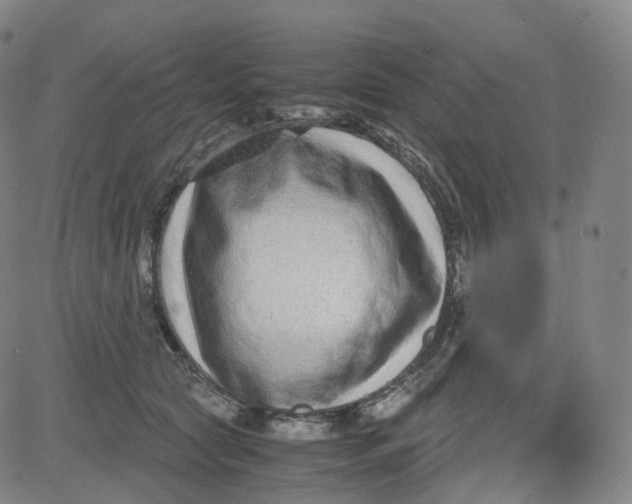 X0000080710561200701051012