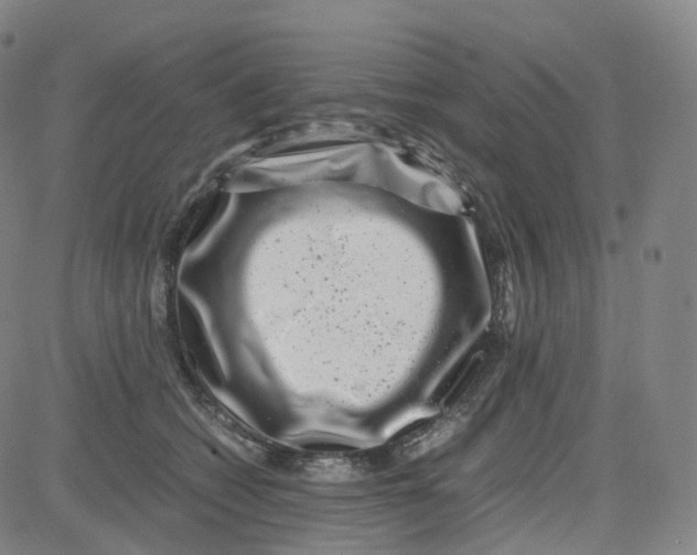 X0000080710562200701051012