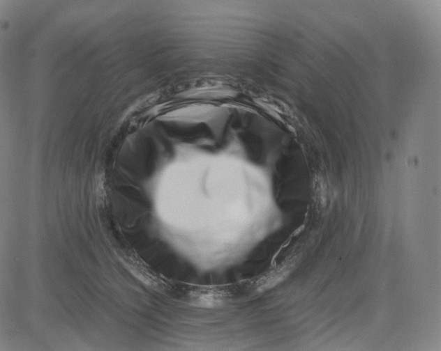 X0000080710564200701051012