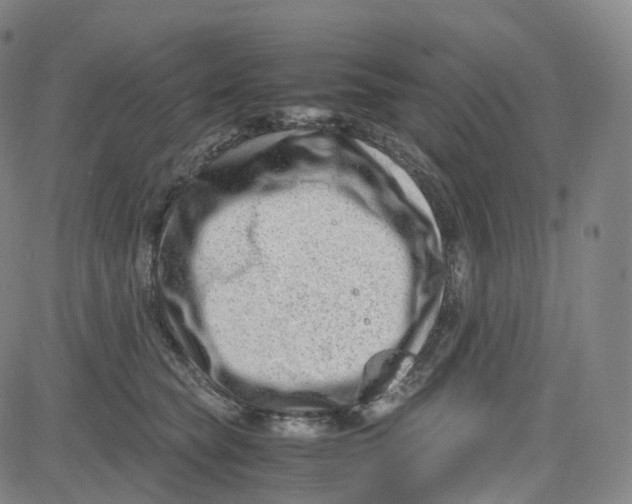 X0000080710565200701051012