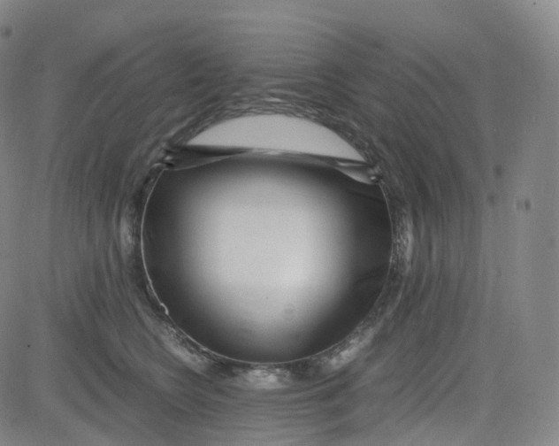 X0000080710566200701051012