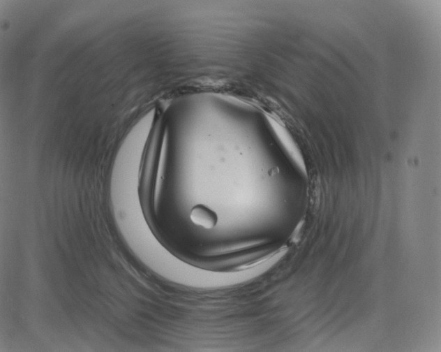 X0000080710568200701051012