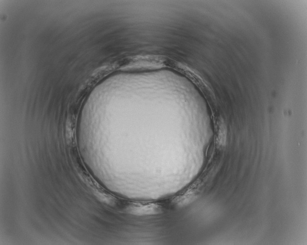 X0000080710569200701051012