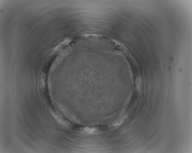 X0000080710570200701051012