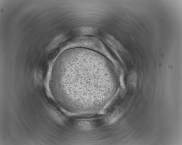 X0000080710572200701051012