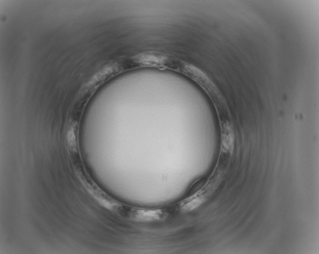 X0000080710573200701051012