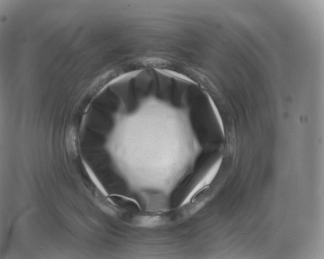 X0000080710575200701051012