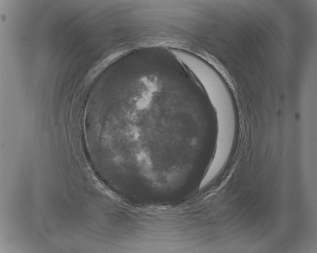 X0000080710577200701051012