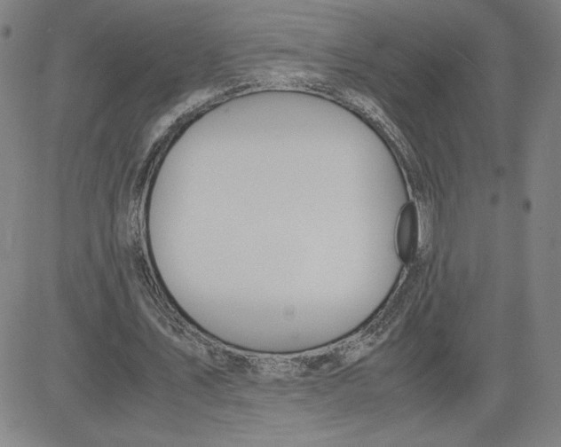 X0000080710579200701051011