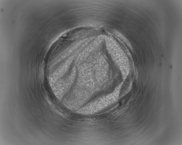 X0000080710580200701051011