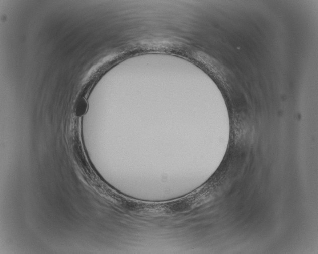 X0000080710583200701051011